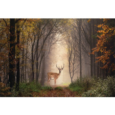 Deer Mystical Forest Aluminum Water Bottle