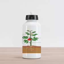 Parts of a Tomato Plant Aluminum Water Bottle