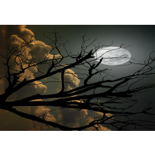 Bare Branches and Full Moon Aluminum Water Bottle