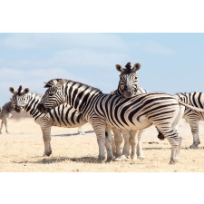 Namibia Africa Safari Aluminum Water Bottle