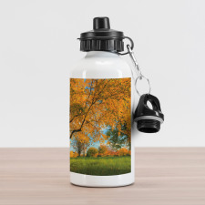 Tree Branches Blue Sky Aluminum Water Bottle