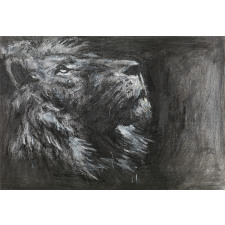 Hand Drawn View of Lion Aluminum Water Bottle