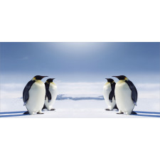 Penguins in Antarctica Piggy Bank