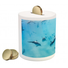 Dolphins Hawaii Ocean Piggy Bank