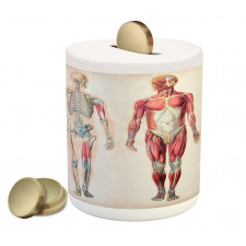 Anatomy Human Body Piggy Bank