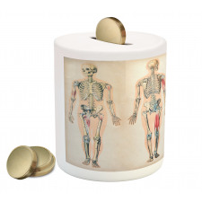 Anatomy Human Body Piggy Bank