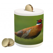 Pheasant Long Tail Meadow Piggy Bank