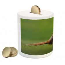 Pheasant Long Tail Meadow Piggy Bank