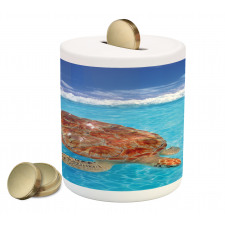 Chelonia Water Surface Piggy Bank