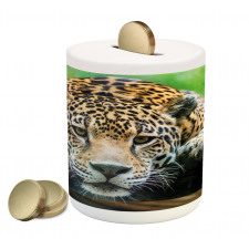 Jaguar Wildcat Feline Piggy Bank