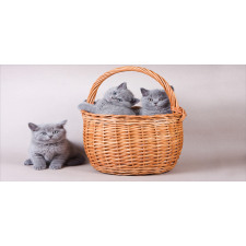 British Cats in Basket Piggy Bank