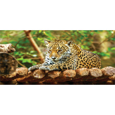 Jaguar on Wood Wild Feline Piggy Bank