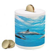 Happily Swimming Fish Piggy Bank