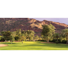 Scenic Cliffs Desert Course Piggy Bank