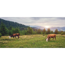 Cows Grazing in Meadow Mug