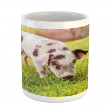 Baby Pig with Spots Mug