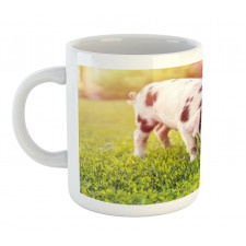 Baby Pig with Spots Mug