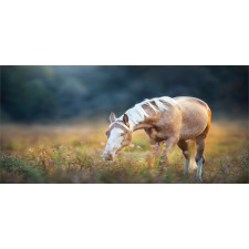 Palomino Horse Grazing Mug