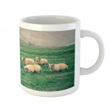 Sheep Grazing on Grass Mug