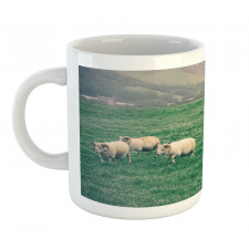 Sheep Grazing on Grass Mug