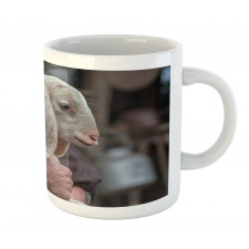 Baby Lamb Old Man Mug