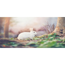 Spring Rabbit Forest Mug