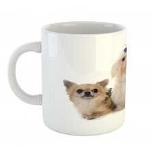 Chihuahua and Maltese Dogs Mug