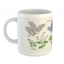 Botanical Infographic Plants Mug