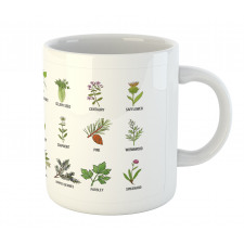 Natural Treatment Infographic Mug