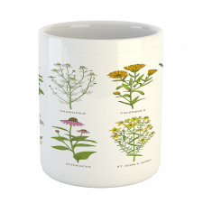 Natural Cosmetics Flowers Mug