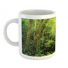 Rainforest Landscape Mug