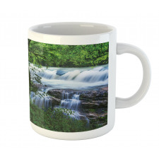 Canyon Woods Scene Mug