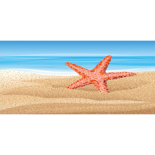 Starfish on the Beach Mug