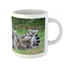 Ring Tailed Madagascar Monkey Mug