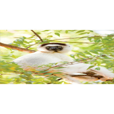 Wild Verreaux's Sifaka Photo Mug