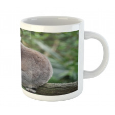 Photo of Madagascar Mammal Mug