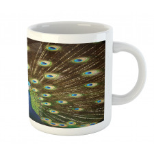 Peacock with Feathers Mug