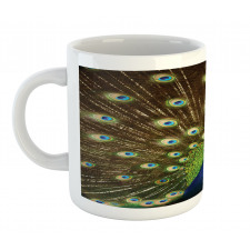 Peacock with Feathers Mug