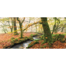 Misty Woods Cornwall Mug