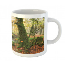 Misty Woods Cornwall Mug