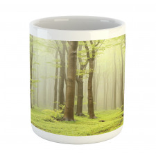 Misty Beech Forest Photo Mug