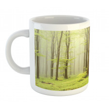 Misty Beech Forest Photo Mug