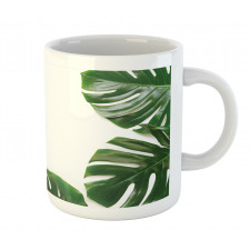 Swiss Cheese Plant Mug