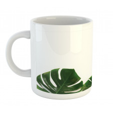 Swiss Cheese Plant Mug