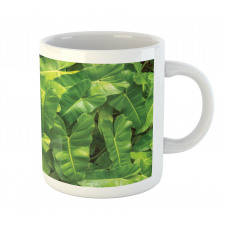 Photo of Tropic Botany Mug