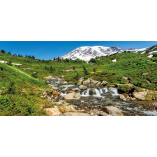 Edith Creek Mount Rainier Mug