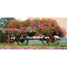 Flowers in Wooden Wagon Mug