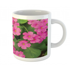 Pinkish Flower and Leaves Mug