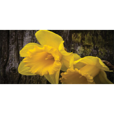 Image of Trumpet Daffodil Mug