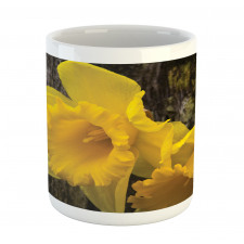 Image of Trumpet Daffodil Mug